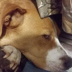 Meet your Posher, Glenn